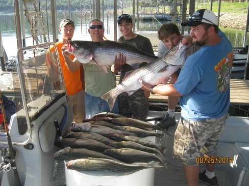 Nice Striped Bass